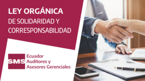 Ley orgánica de solidaridad y corresponsabilidad
