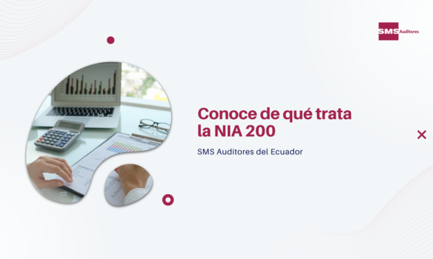 Conoce de qué trata la NIA 200