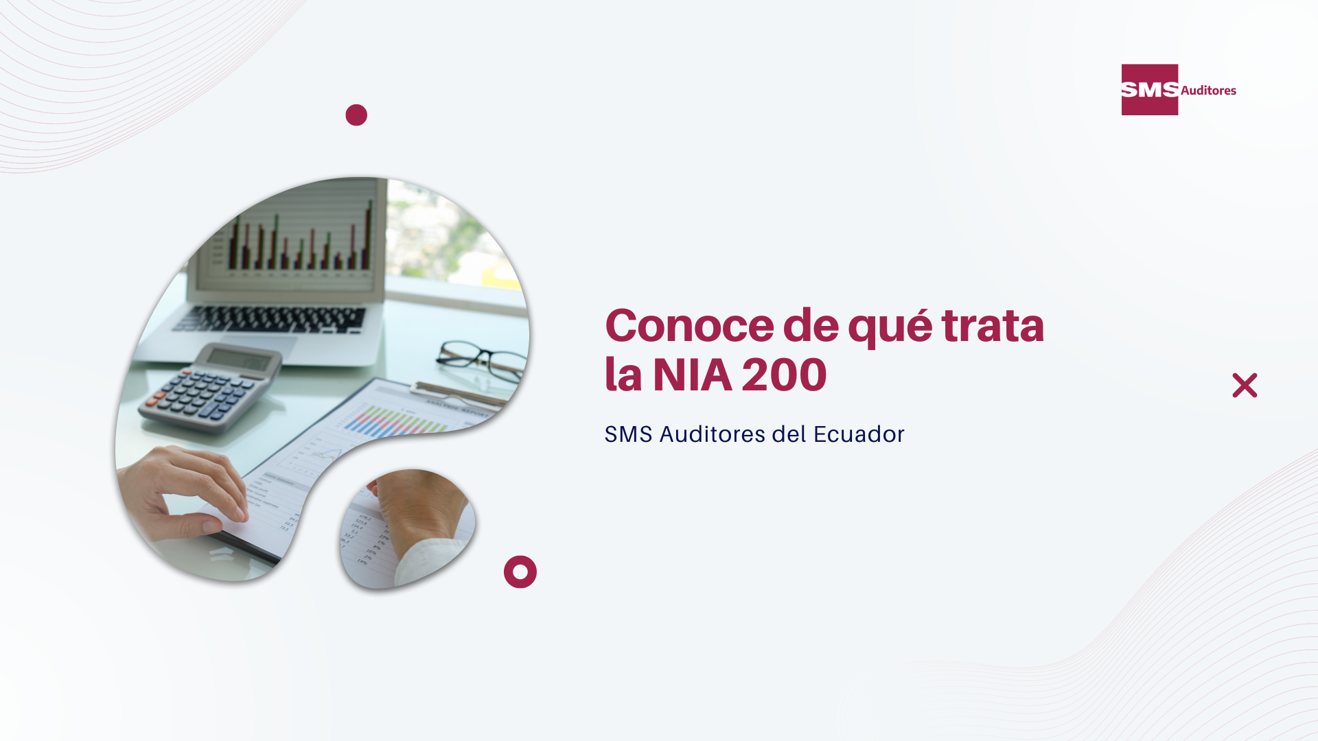 Conoce De Qué Trata La Nia 200 Deltech Auditores Y Consultores Con