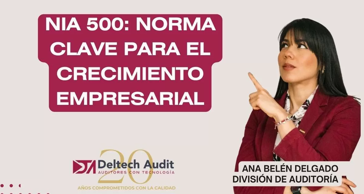 NIA 500: Norma clave para el Crecimiento Empresarial