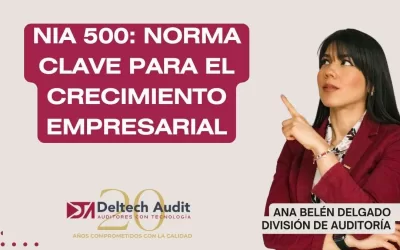 NIA 500: Norma clave para el Crecimiento Empresarial