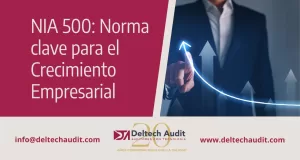 NIA 500: Norma clave para el Crecimiento Empresarial