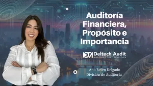 Auditoría Financiera, Propósito e Importancia