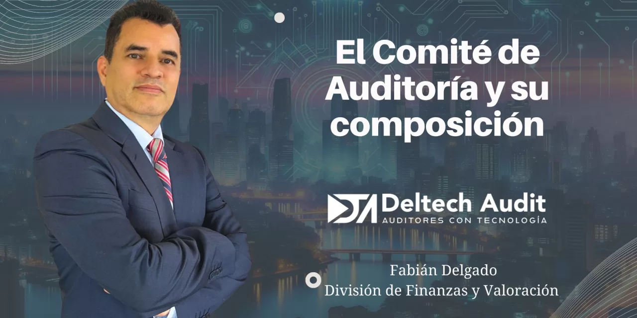 El Comité de Auditoría y su composición