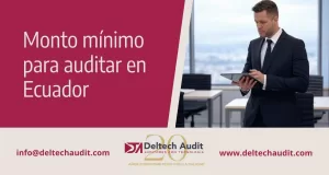 monto mínimo para auditar