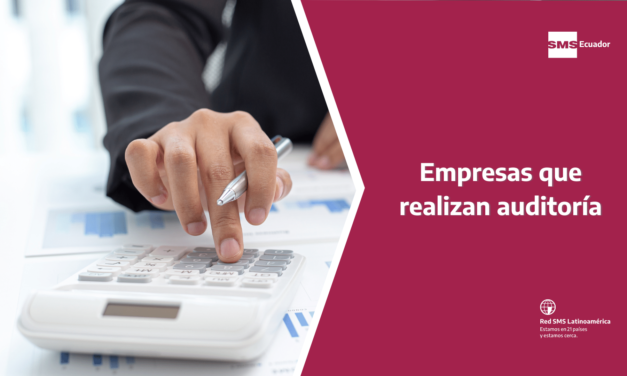 EMPRESAS QUE REALIZAN AUDITORÍA