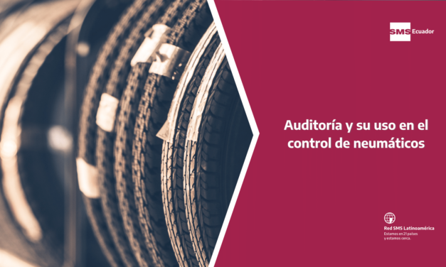 AUDITORÍA Y SU USO EN EL CONTROL DE NEUMÁTICOS