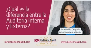 diferencia auditoria interna externa x