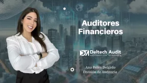 Auditores Financieros