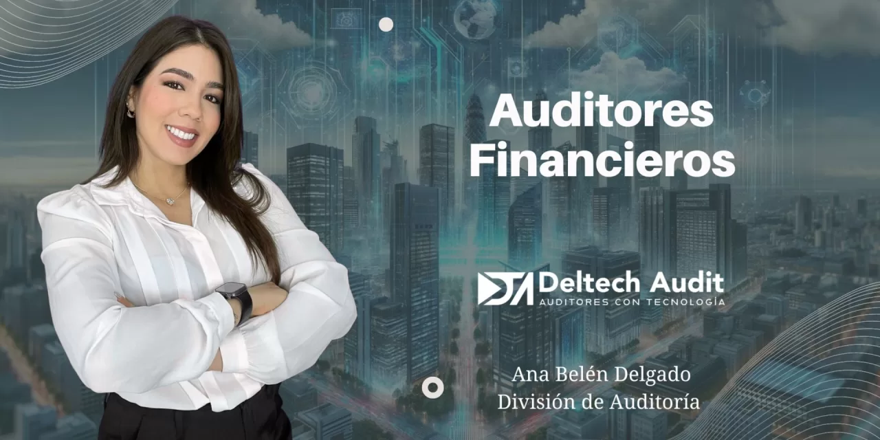 Auditores Financieros