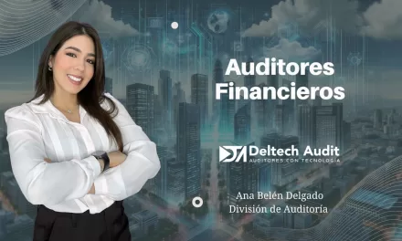 Auditores Financieros