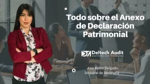 Anexo de Declaración Patrimonial