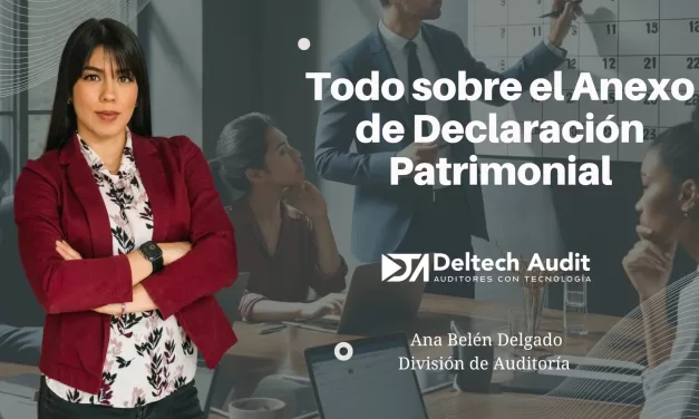 Todo sobre el Anexo de Declaración Patrimonial