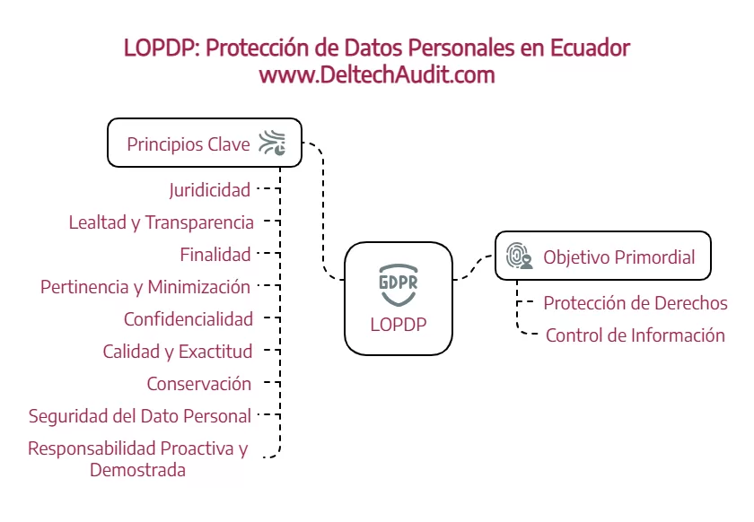 Ley Orgánica de Protección de Datos