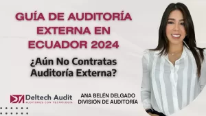 Guía De Auditoría Externa En Ecuador 2024