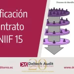 Identificación del Contrato en la NIIF 15