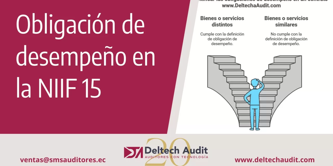 NIIF 15: Paso 2 – Determinar una Obligación de Desempeño