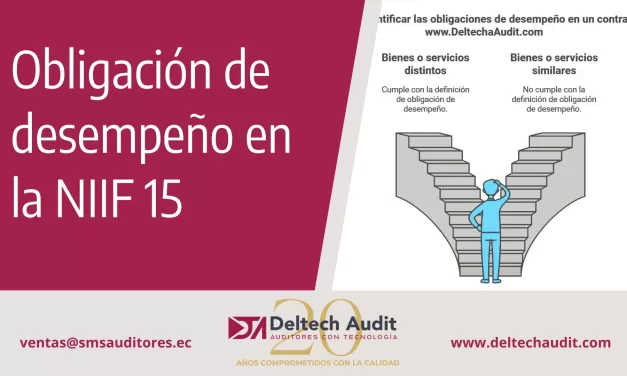 NIIF 15: Paso 2 – Determinar una Obligación de Desempeño