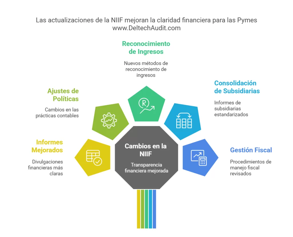 NIIF para Pymes 2025: