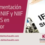 implementacion de las niif x