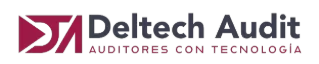 Deltech Audit